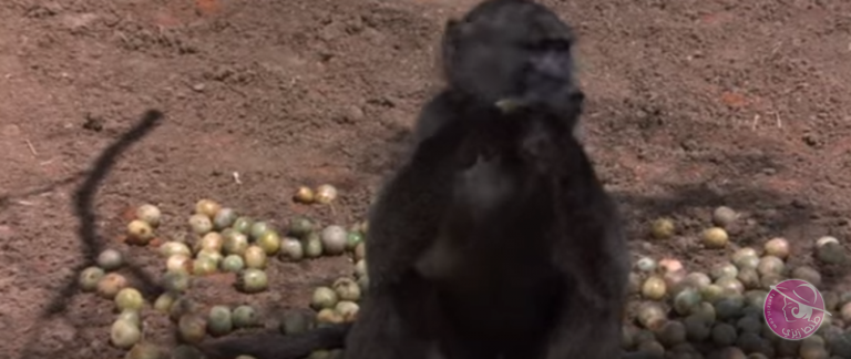 5693c5efd85e0-768x324