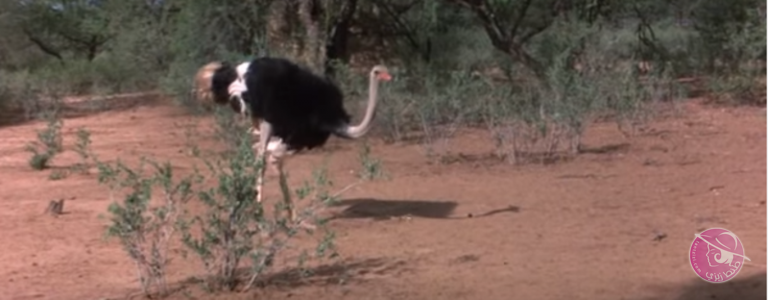 5693c61c8fa29-768x300