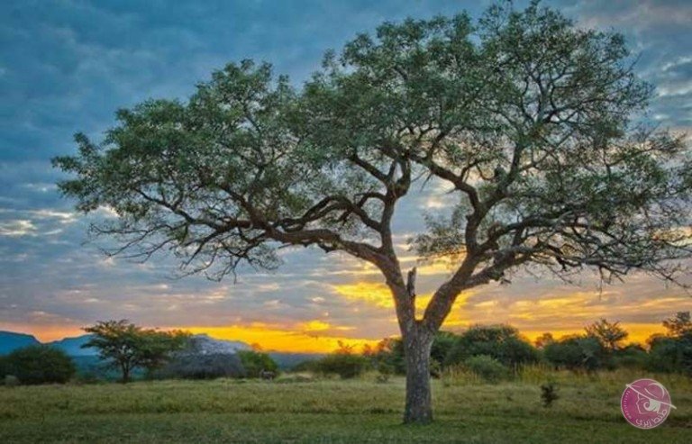 5693c65f401a3-768x493