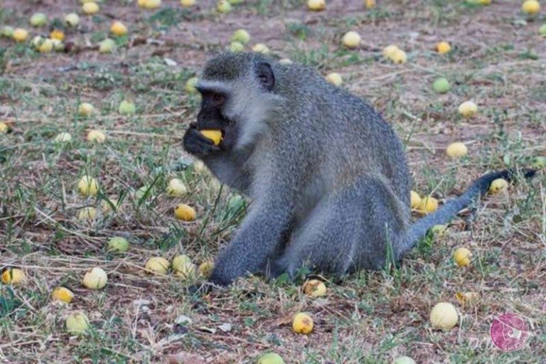 5693c670e612d-768x512