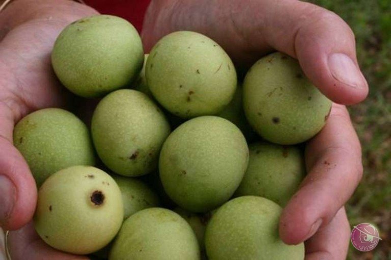 5693c67dd5ec5-768x510