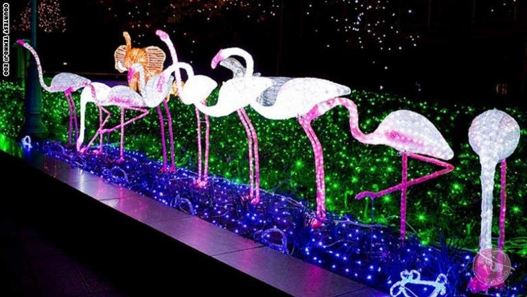 Untitled-3_104-768x433