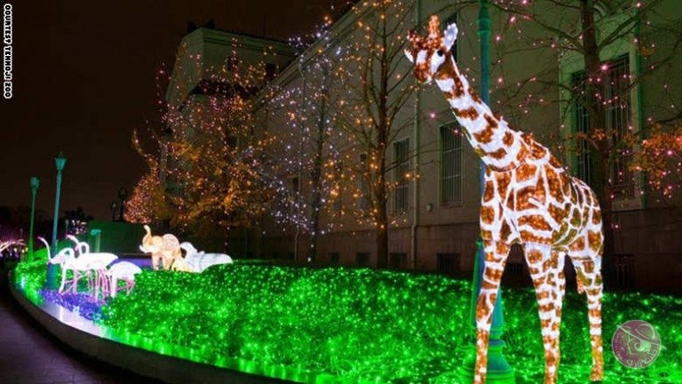 Untitled-4_95-768x433