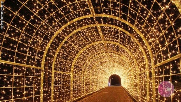 Untitled-5_96-620x350