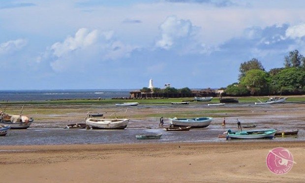 malindi-1024x614_c-620x372