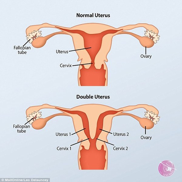 3c5a970e-f7fa-4838-9c0f-62d592b149b5