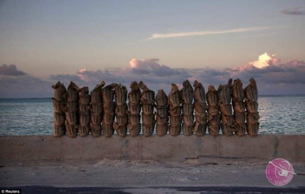 جزيرة-كريباتي-تلجأ-إلى-الإمارات-لإنقاذها-من-الغرق-14-620x396