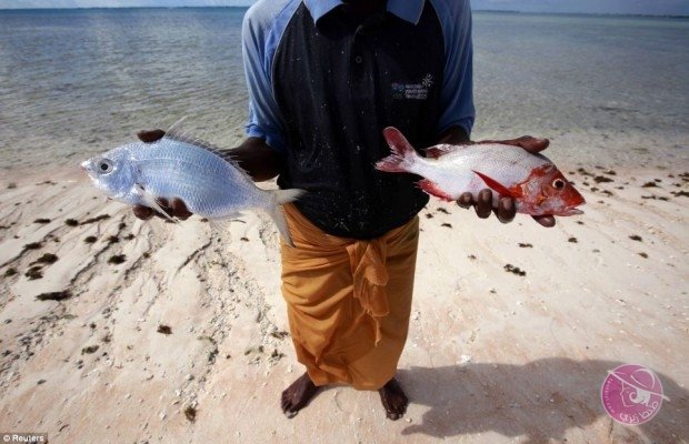 جزيرة-كريباتي-تلجأ-إلى-الإمارات-لإنقاذها-من-الغرق-20-620x400