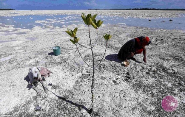 جزيرة-كريباتي-تلجأ-إلى-الإمارات-لإنقاذها-من-الغرق-23-620x393