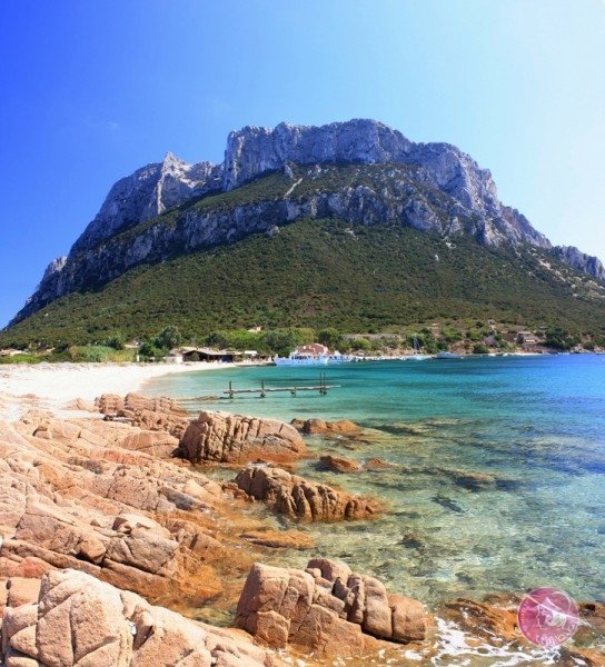 dreamstime_11690469-544x600