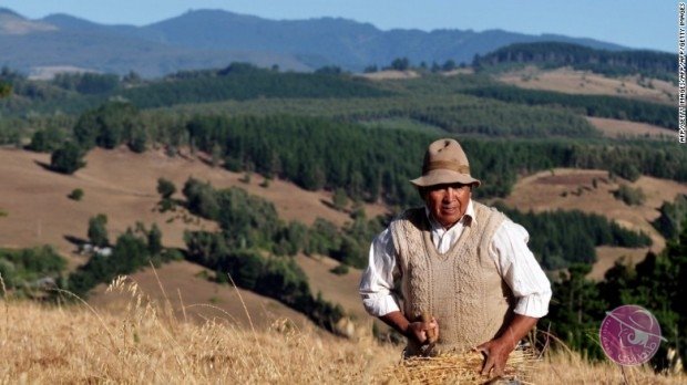 160126150129-mapuche-exlarge-169-620x348