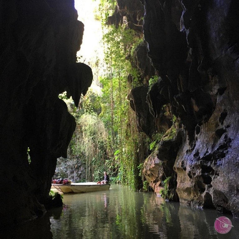 12751230_1694598407492419_1997257307_n-768x768