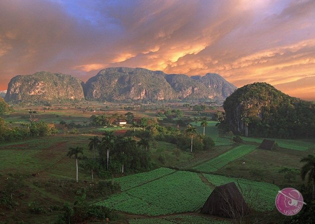 56da39a01e000087007035be