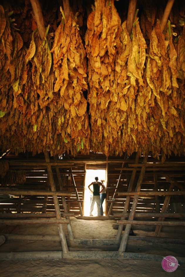 56da39bb1e000087007035bf