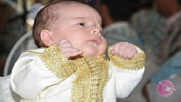 الكيفية التي تؤدى بها العقيقة