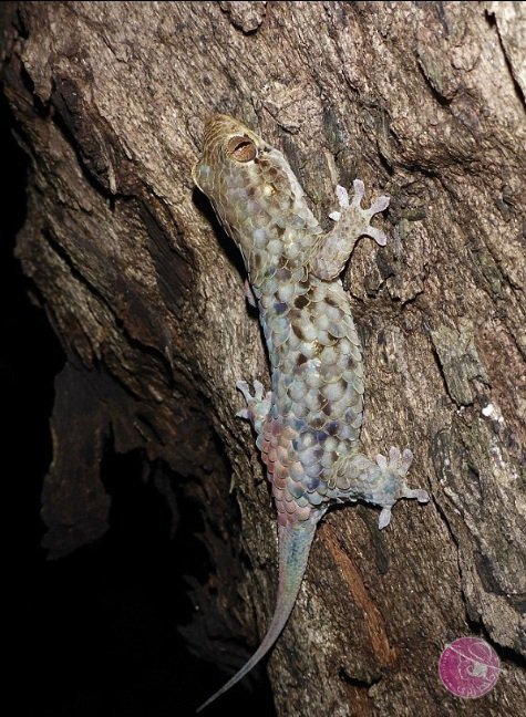 16650190_1245558585513453_1441875903_n