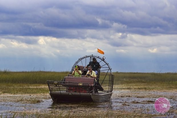 everglades_452842-620x413