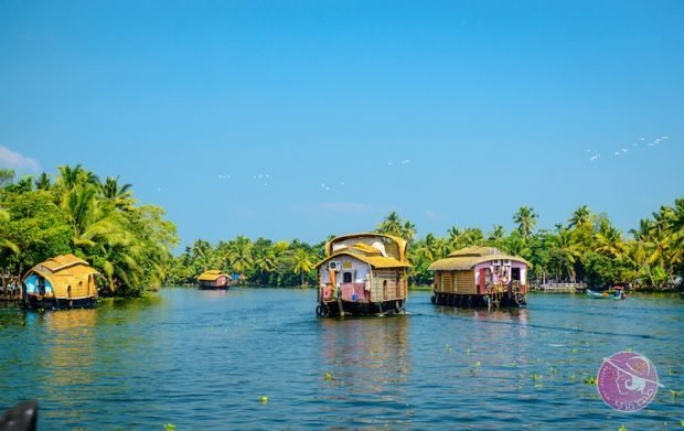 kerala_backwaters_619222-620x391