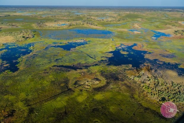 okavango_delta_506881-620x413