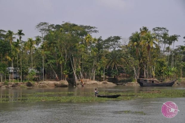 sundarbans_876632-620x412