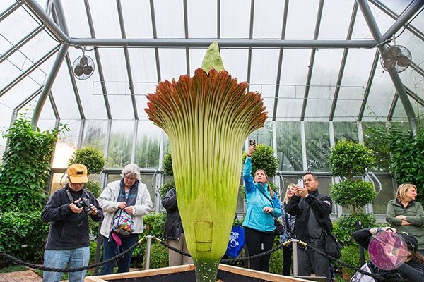 3add980b-88e8-4d14-b7fe-147c8f9cf7c9