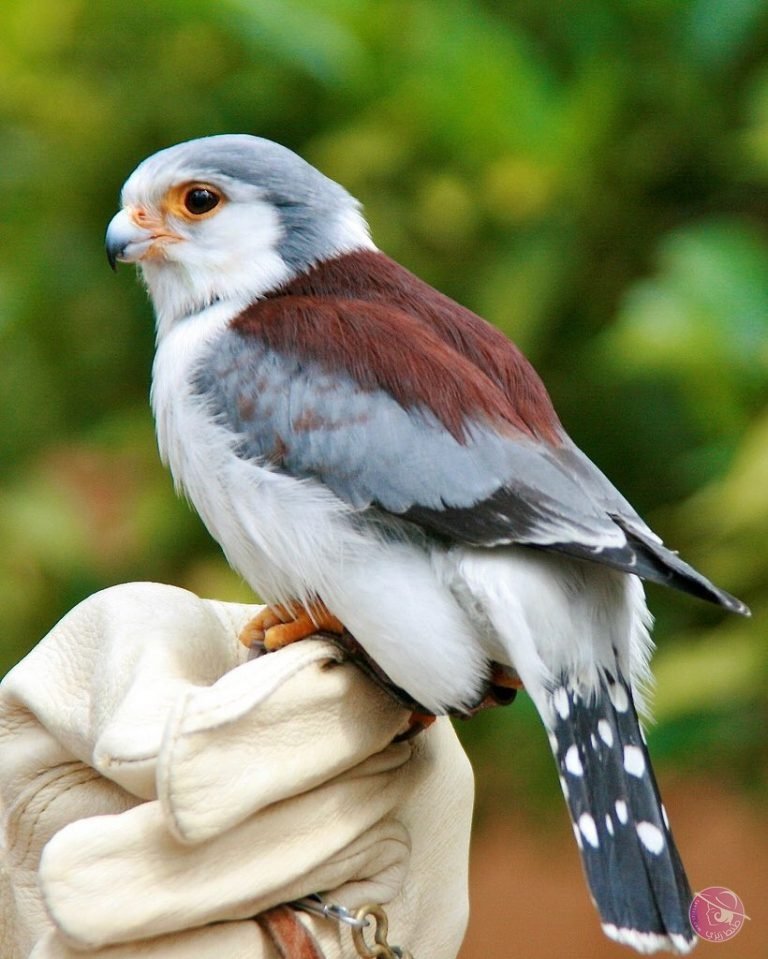 C6uPfRdWkAAaNWB-768x959