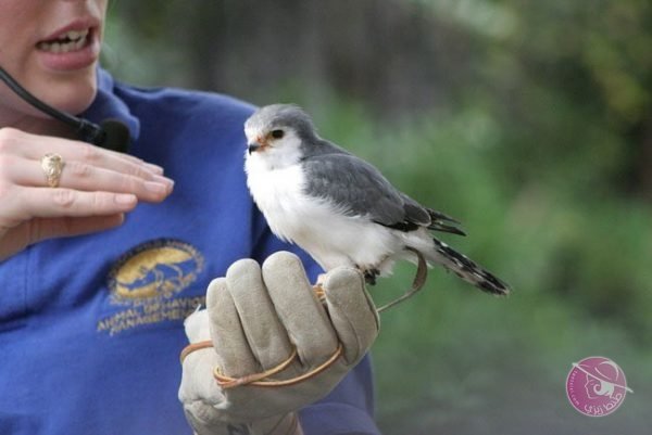 C8jdUuIXYAABr88-600x401