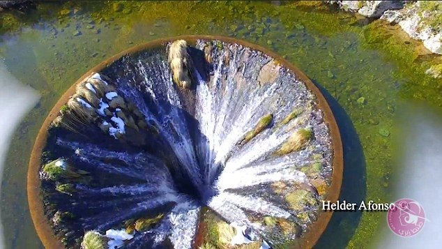 35A13A6900000578-3658077-image-a-124_1466782257725